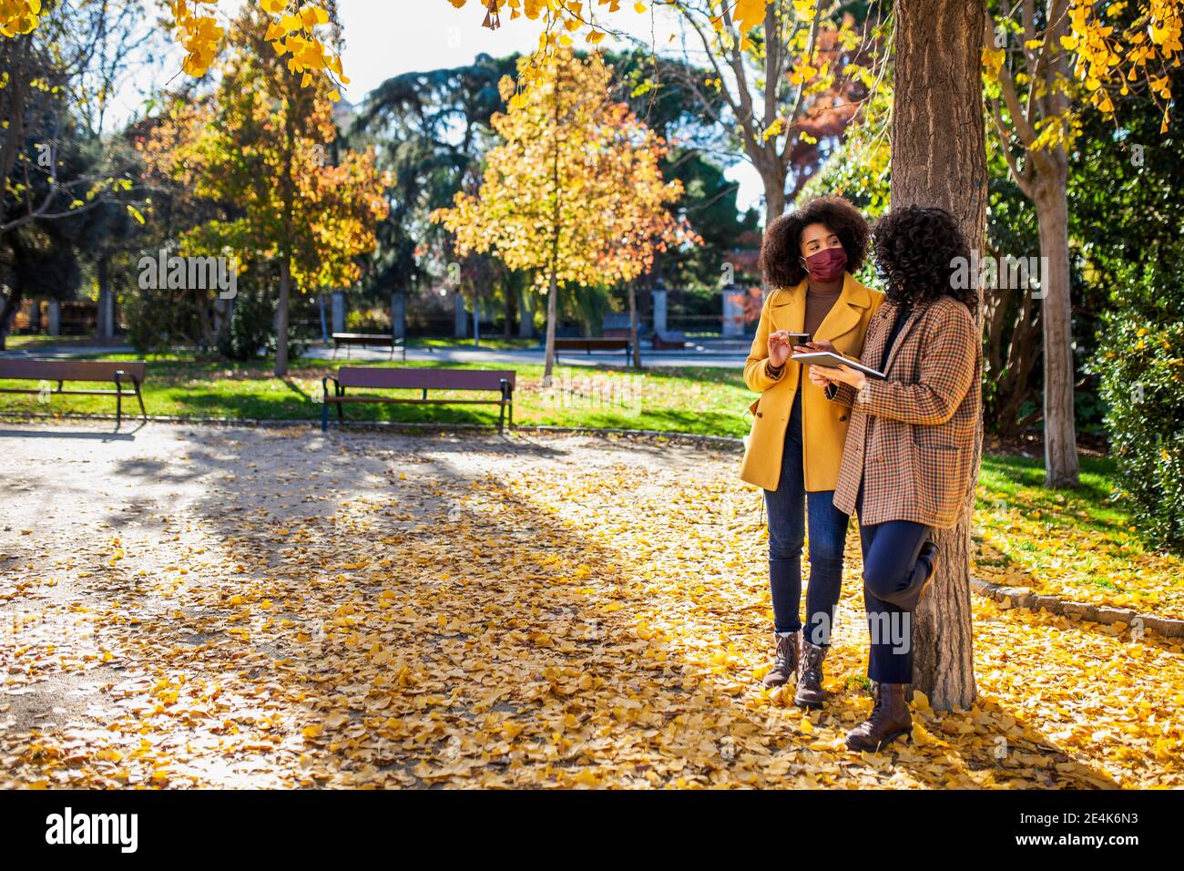 Junge Frau mit digitalen Tablet, während sich auf Baum durch Freund im Park Stockfoto
