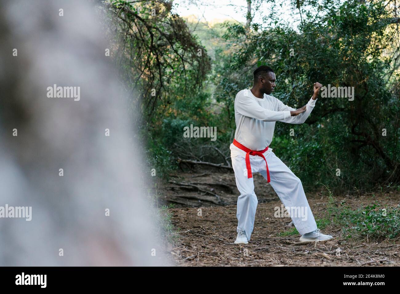 Erwachsener Mann, der im Wald die Kampfkunst übt Stockfoto