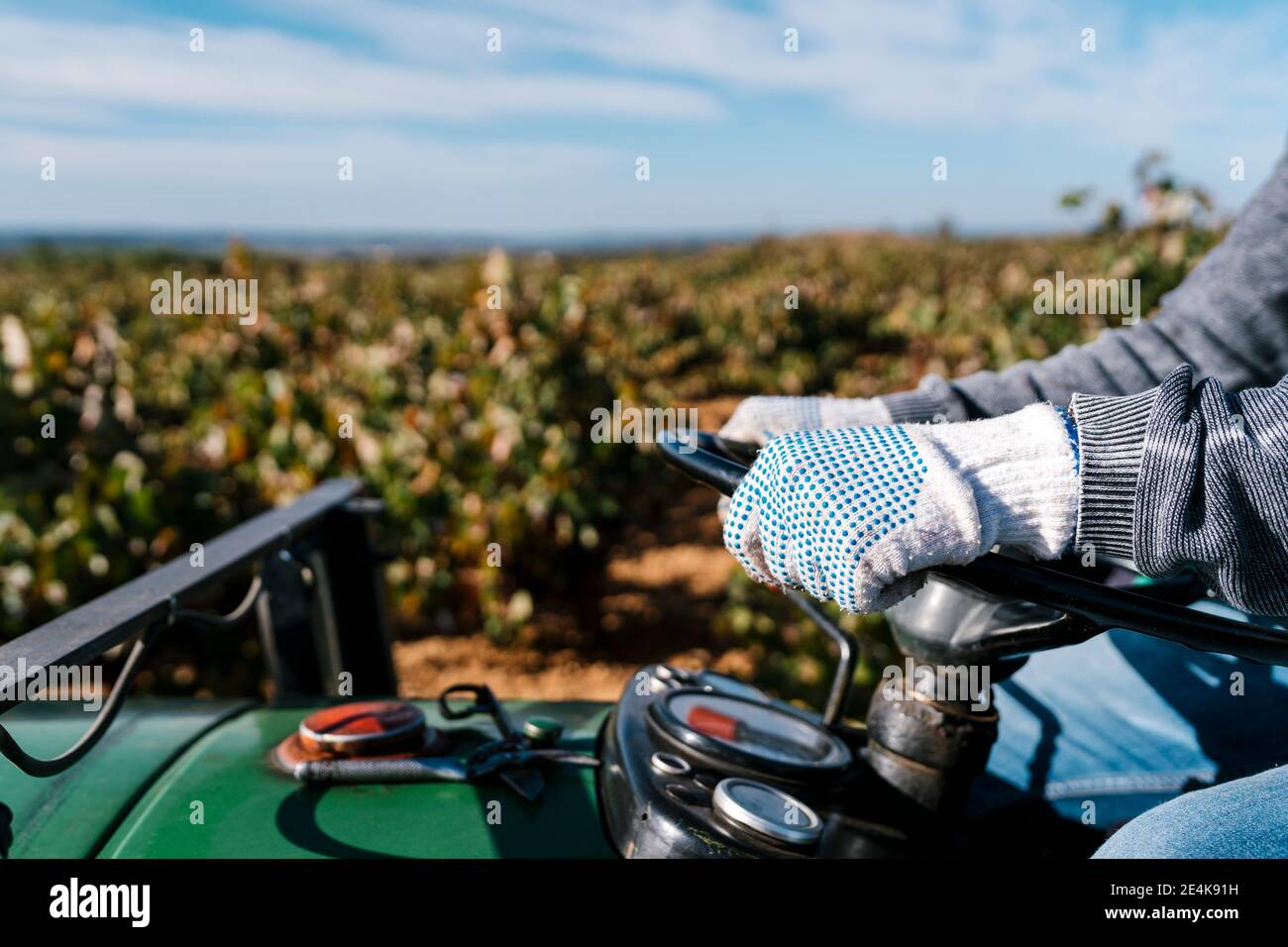 Die Hände des Menschen auf dem Lenkrad des Traktors im Weinberg Stockfoto