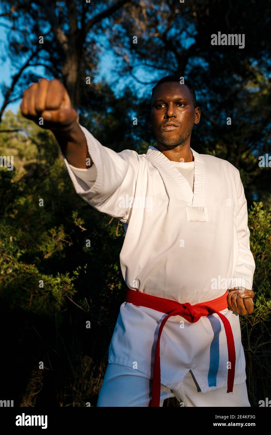 Erwachsener Mann, der im Freien die Kampfkunst übt Stockfoto