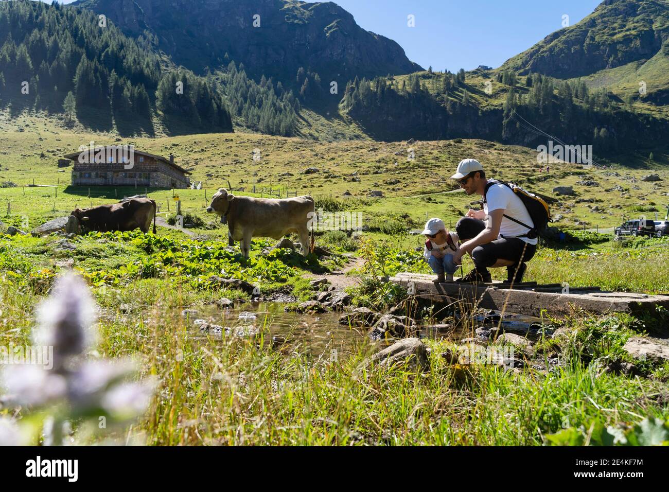 Vater und Tochter hocken während der Frühjahrswanderung über den Alpenbach Stockfoto