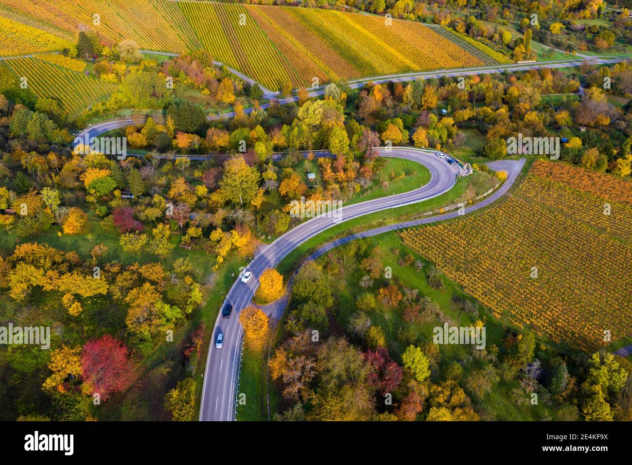Luftaufnahme der Landstraße, die sich zwischen den herbstlichen Weinbergen, Baden-Württemberg, Deutschland, schlängelt Stockfoto
