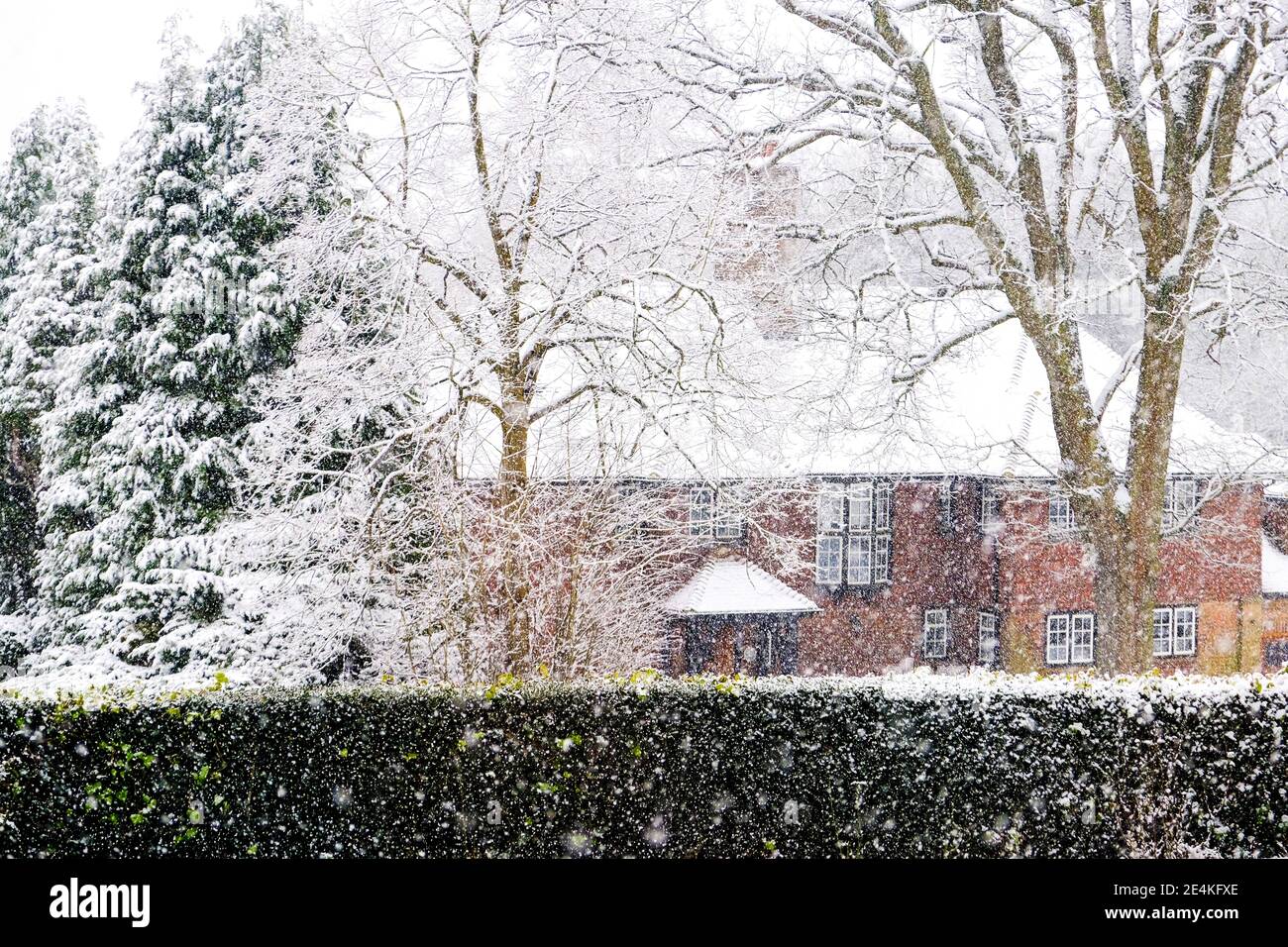 Epsom Surrey London, 24 2021. Januar, frischer Schnee fällt in LÄNDLICHER Umgebung an EINEM kalten Wintertag ohne Menschen Stockfoto