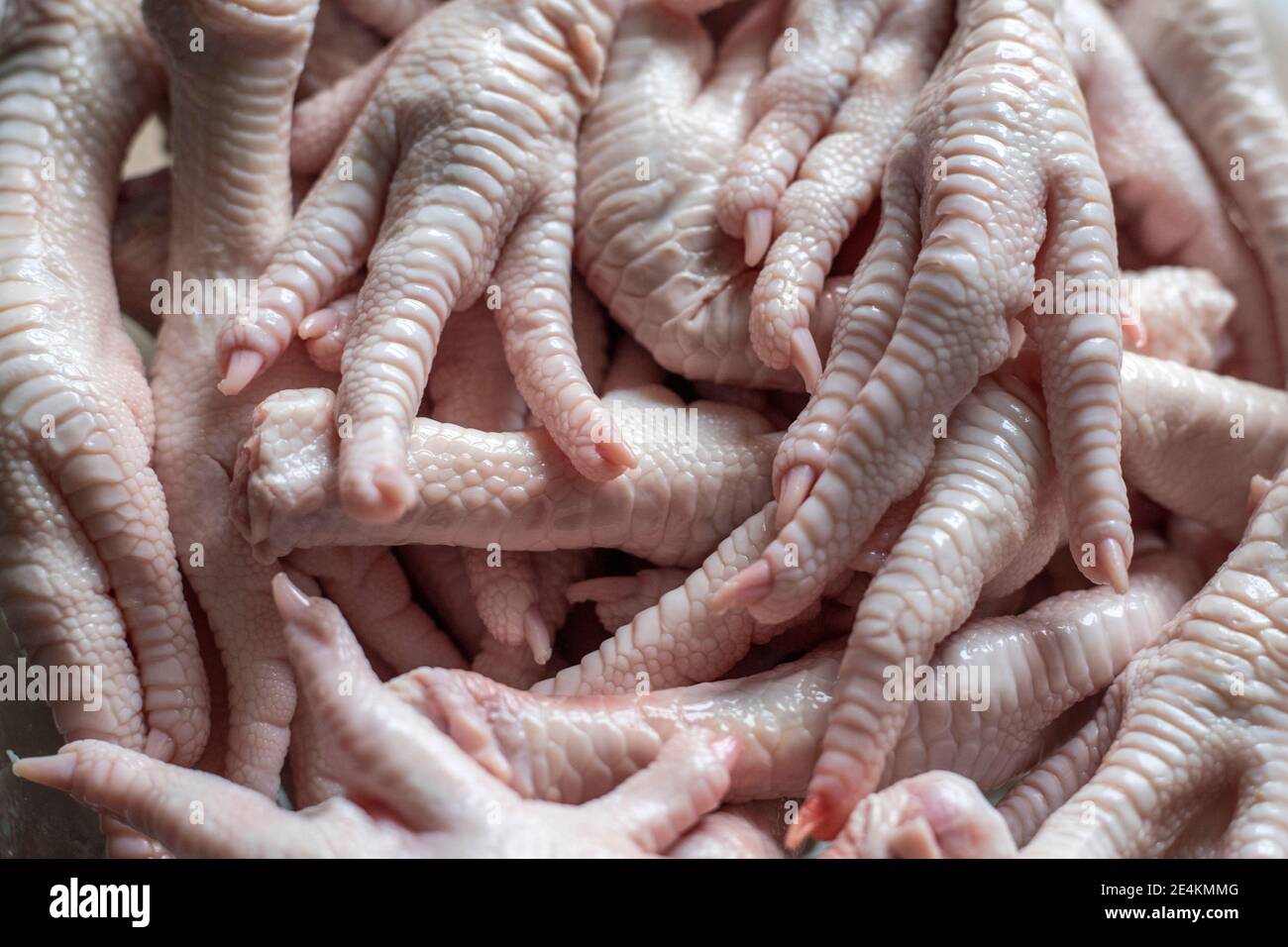 RAW Enten feet.Food Foto-Konzept Stockfoto