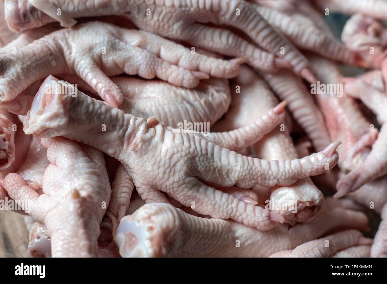 RAW Enten feet.Food Foto-Konzept Stockfoto