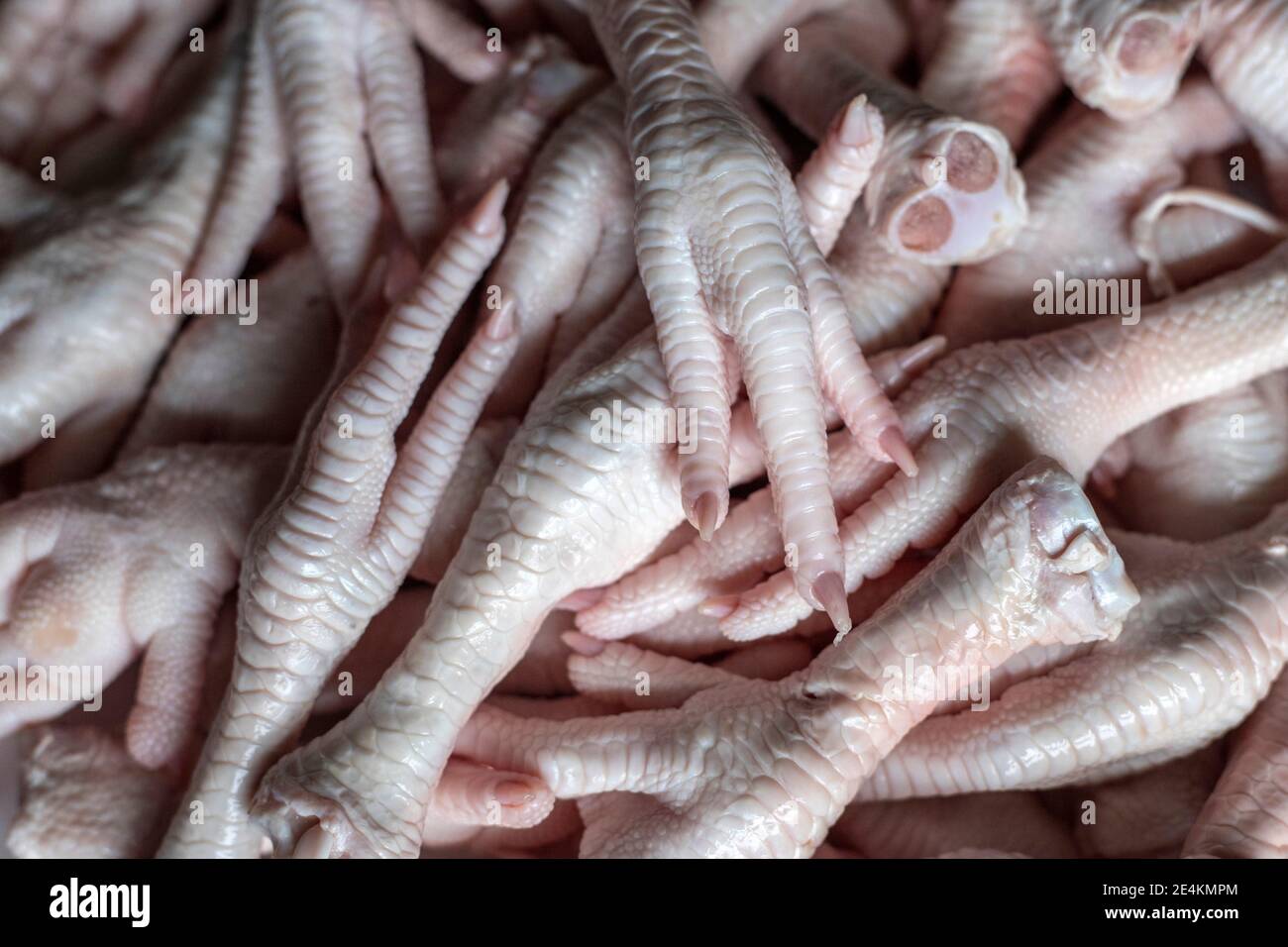 RAW Enten feet.Food Foto-Konzept Stockfoto
