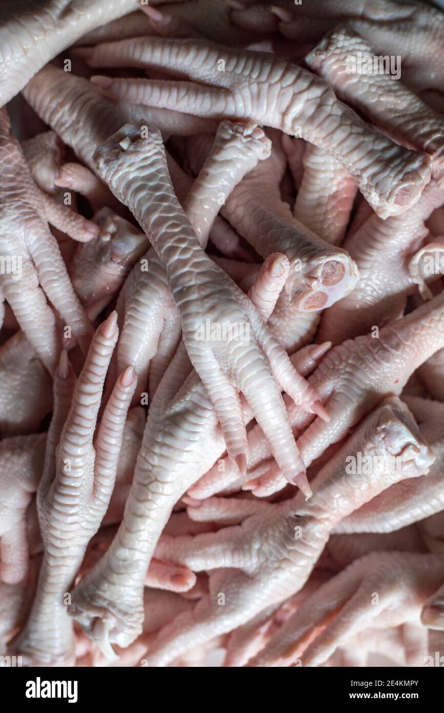RAW Enten feet.Food Foto-Konzept Stockfoto