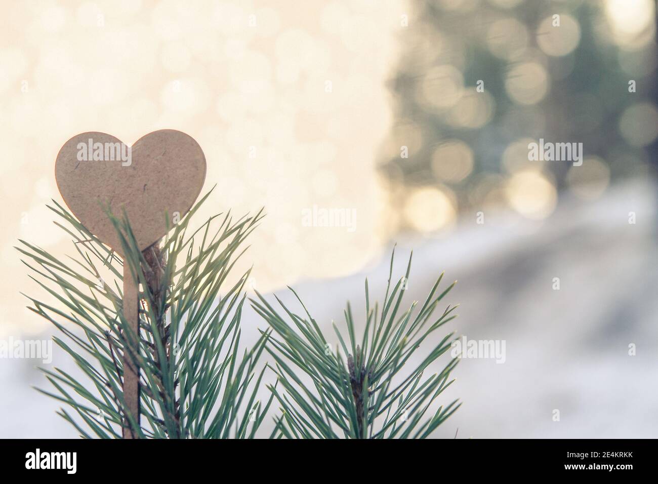 Holzherz auf dem Tannenbaum Brunch Stockfoto