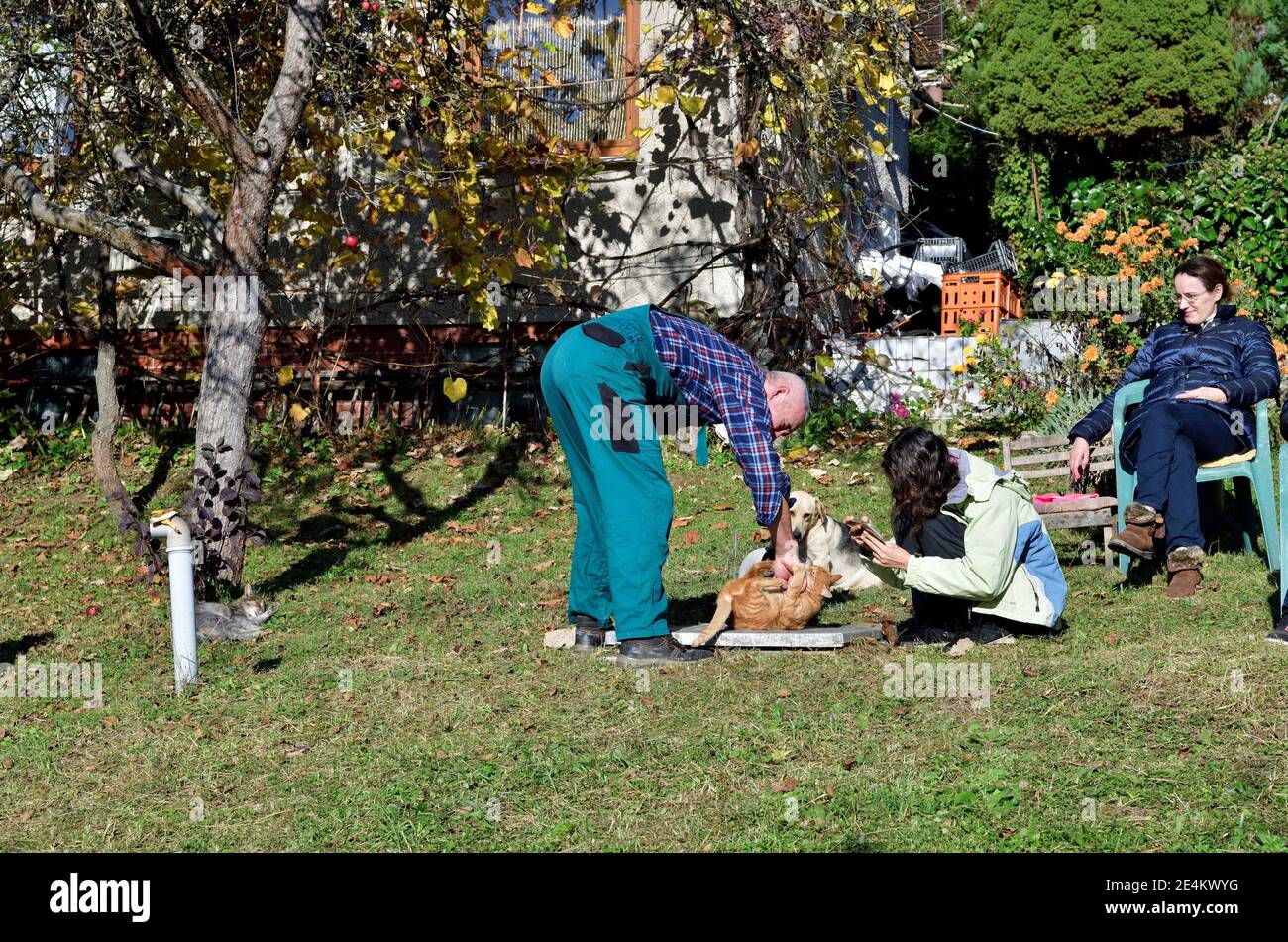 Der alte Vater rauscht und kitzelt die Katze auf dem Magen und die Kinder beobachten Stockfoto