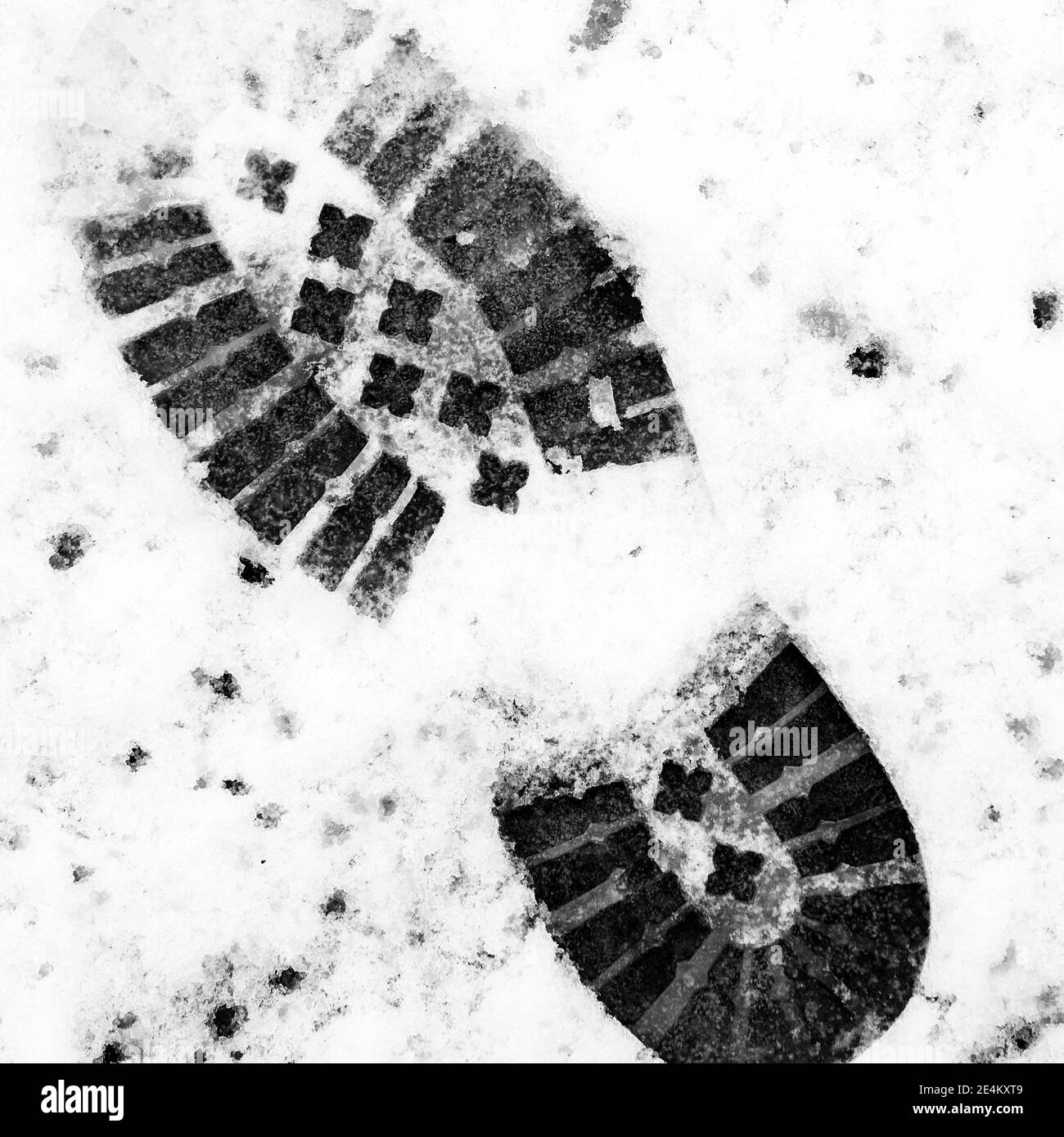 Epsom Surrey, London Großbritannien, Januar 24 2021, frischer Schnee fegt über den südlichen Teil von England, als ein artischer Blast aus dem Norden einen verschneiten Winter erzeugt Stockfoto