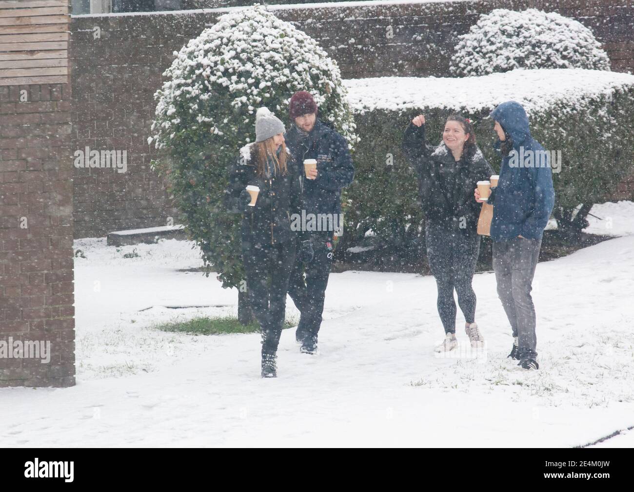 UK Weather, London, 24 January 2021: Ein seltener Schneefall erreichte die Hauptstadt am Sonntagmorgen und beschichtete Bäume und Dächer über 2 Stunden mit etwa 2cm Schnee. Eine Gruppe junger Menschen mit Kaffee zum Mitnehmen könnte die Covid-Anleitung brechen, es sei denn, sie leben in einem einzigen Haushalt. Anna Watson/Alamy Live News Stockfoto