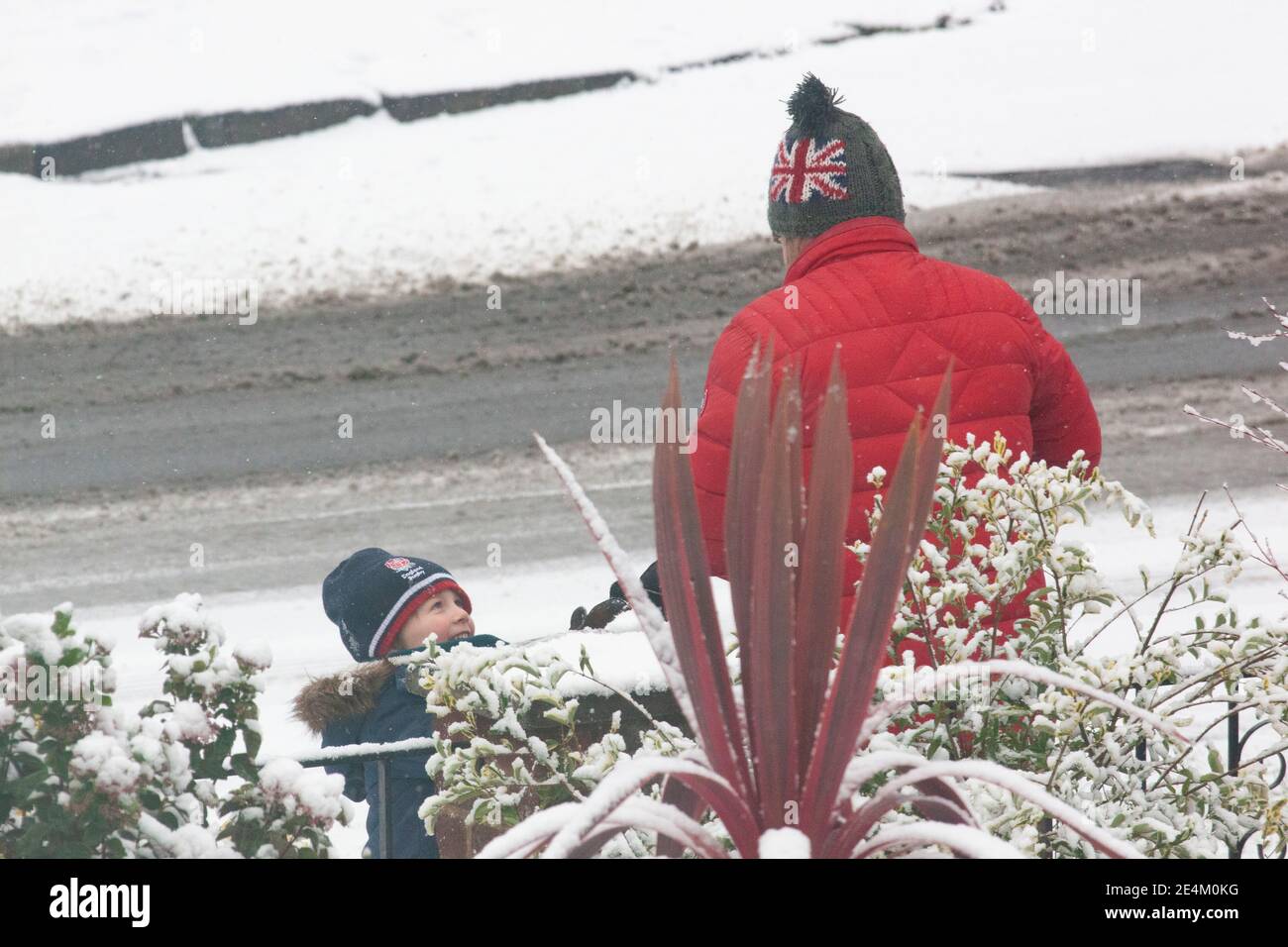 UK Weather, London, 24 January 2021: Ein seltener Schneefall erreichte die Hauptstadt am Sonntagmorgen und beschichtete Bäume und Dächer über 2 Stunden mit etwa 2cm Schnee. Ein Vater und ein Kind haben zusammen Schneebälle gemacht. Anna Watson/Alamy Live News Stockfoto