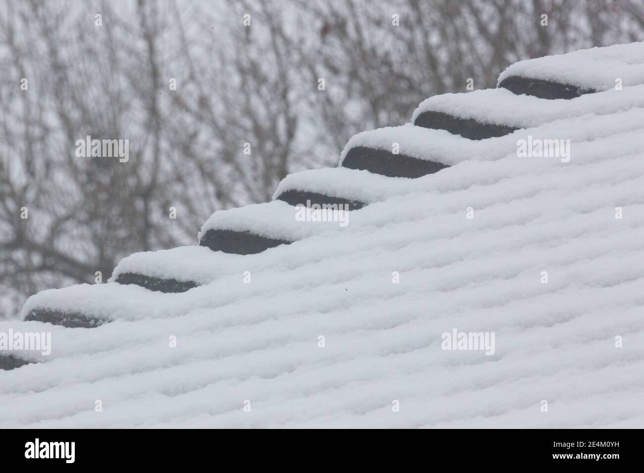 UK Weather, London, 24 January 2021: Ein seltener Schneefall erreichte die Hauptstadt am Sonntagmorgen und beschichtete Bäume und Dächer über 2 Stunden mit etwa 2cm Schnee. Anna Watson/Alamy Live News Stockfoto