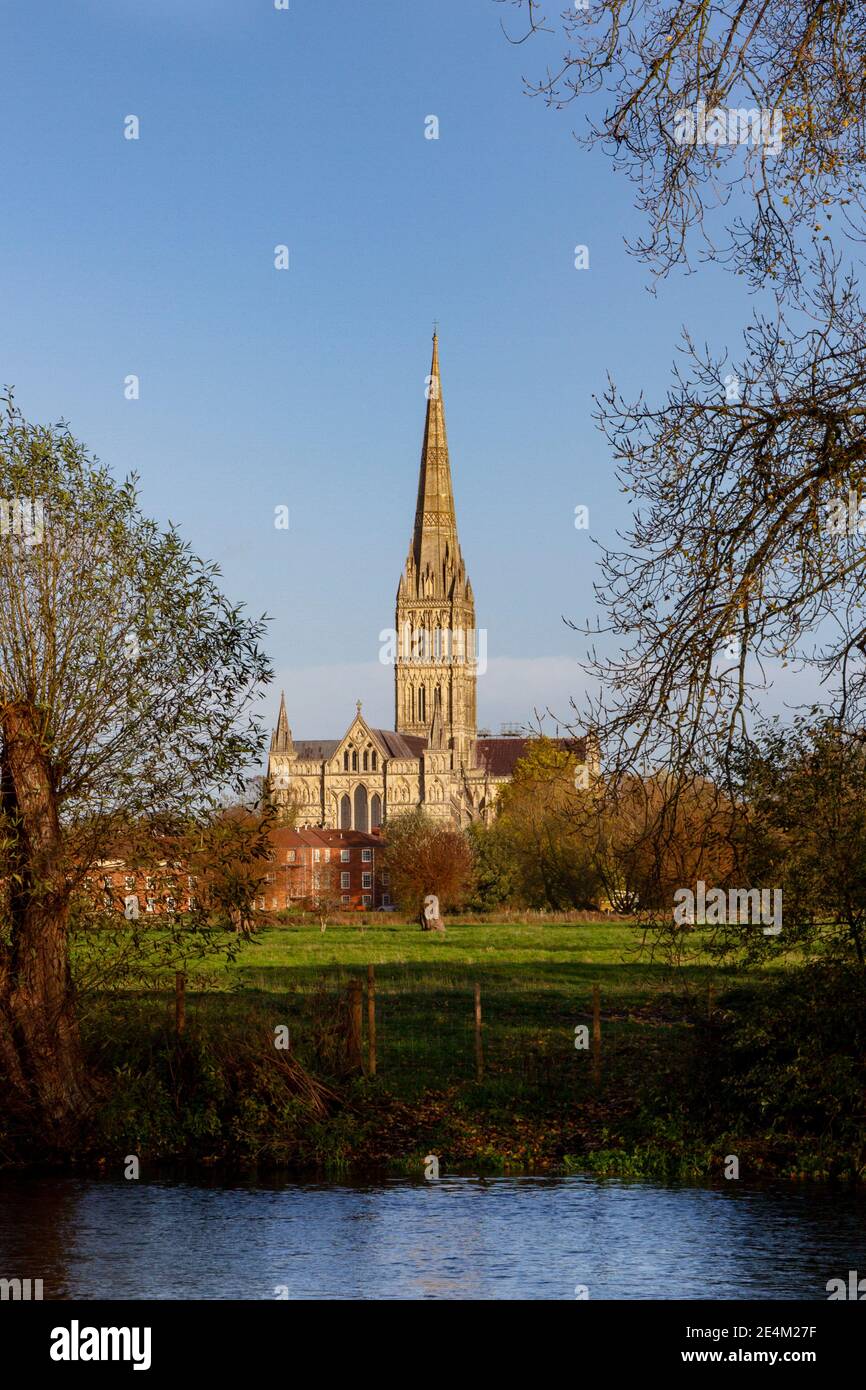 Blick über die Harnham Water Meadows auf den Turm der Salisbury Cathedral, südlich von Salisbury, Wiltshire, Großbritannien. Stockfoto