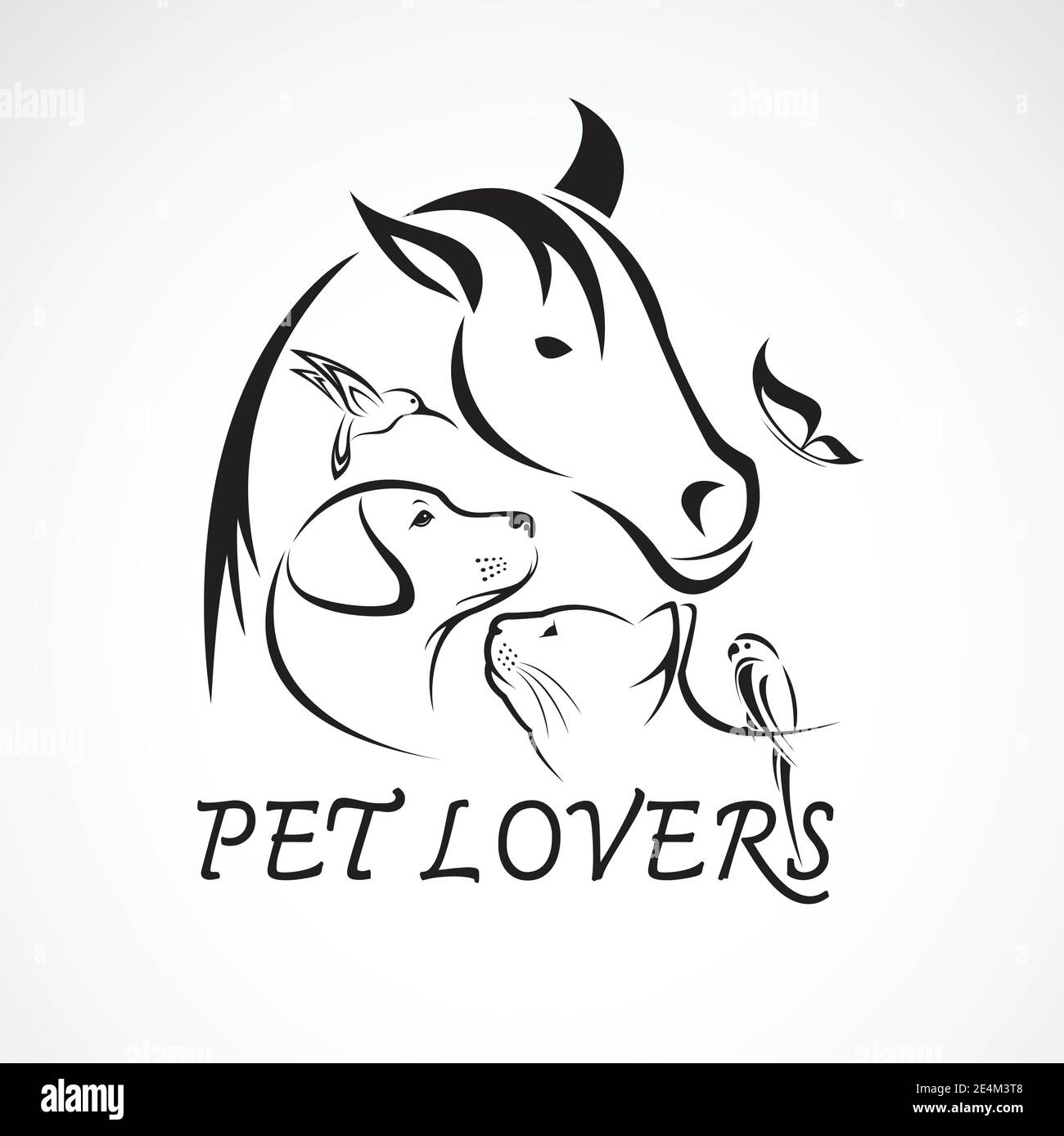 Hund pferd hase katze pet -Fotos und -Bildmaterial in hoher Auflösung ...