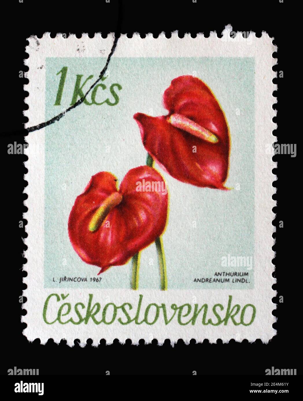 Die in der Tschechoslowakei gedruckte Briefmarke zeigt Anthurium andreanum Lindl, Serie Blumen der Botanischen Gärten, um 1967 Stockfoto
