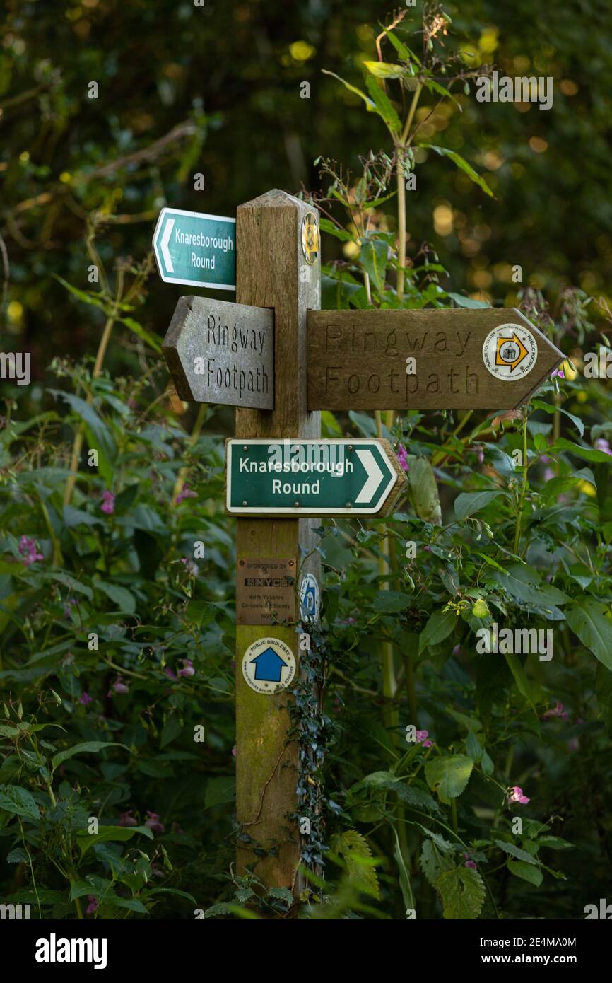 Ein Wegweiser in der Nähe der Nidd Gorge in Knaresborough, der den Ringway und den Knaresborough Round Fußweg und die Bridleway Routen zeigt. Stockfoto