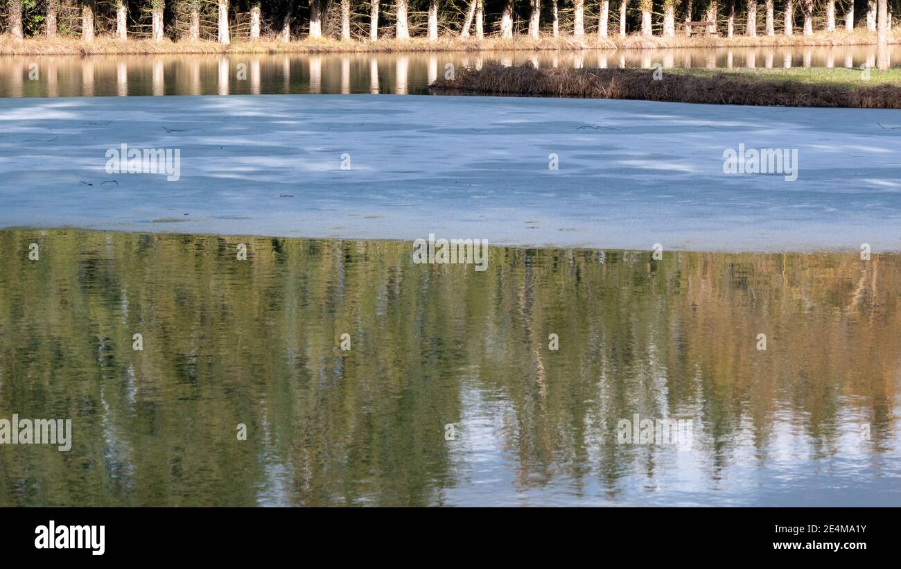 Halbgefrorener Teich im Naturschutzgebiet Stockfoto