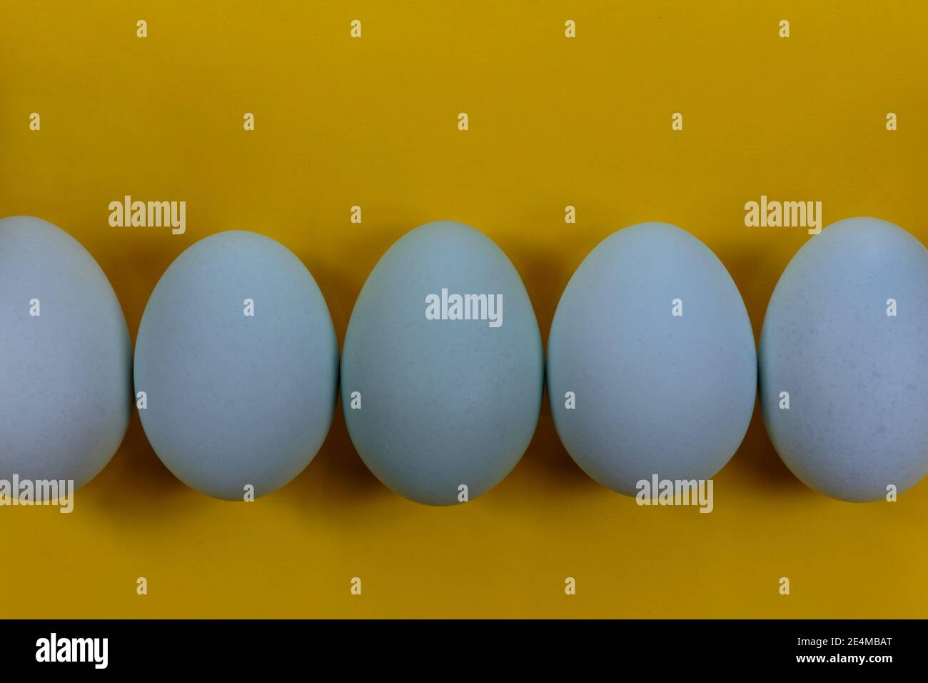 Nahaufnahme einer Reihe von blassblauen Erbstück Eier auf einem hellen, intensiv gelben Hintergrund mit Copy Space, Ostern Thema Stockfoto