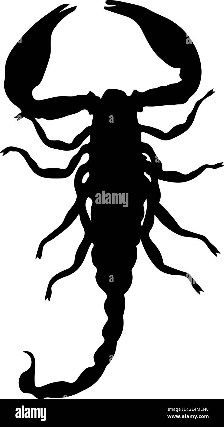 Schwarze Skorpion Silhouette isoliert auf weiß Stock Vektor