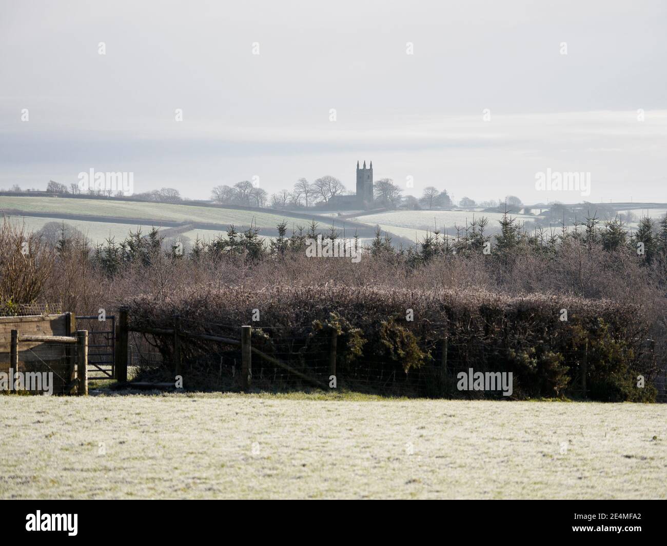 Ein Wintertag über die Felder zur Dorfkirche St. Bridget's, Bridgerule, Devon, Großbritannien Stockfoto