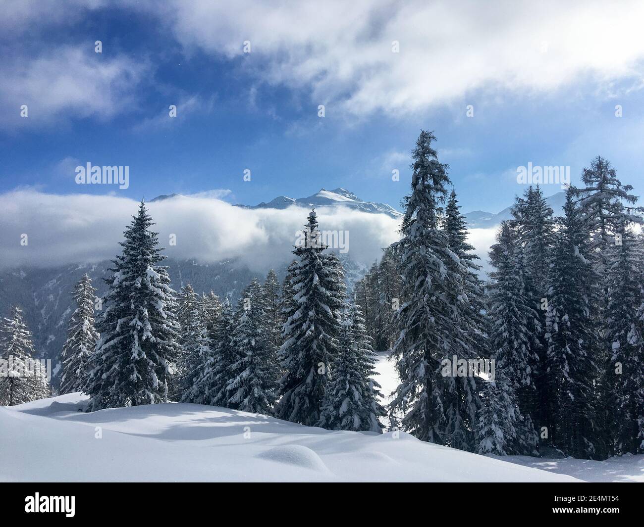 Schamserberg, Schweiz: Winterlandschaft des Naturparks Schamserberg und Piz Beverin. Stockfoto