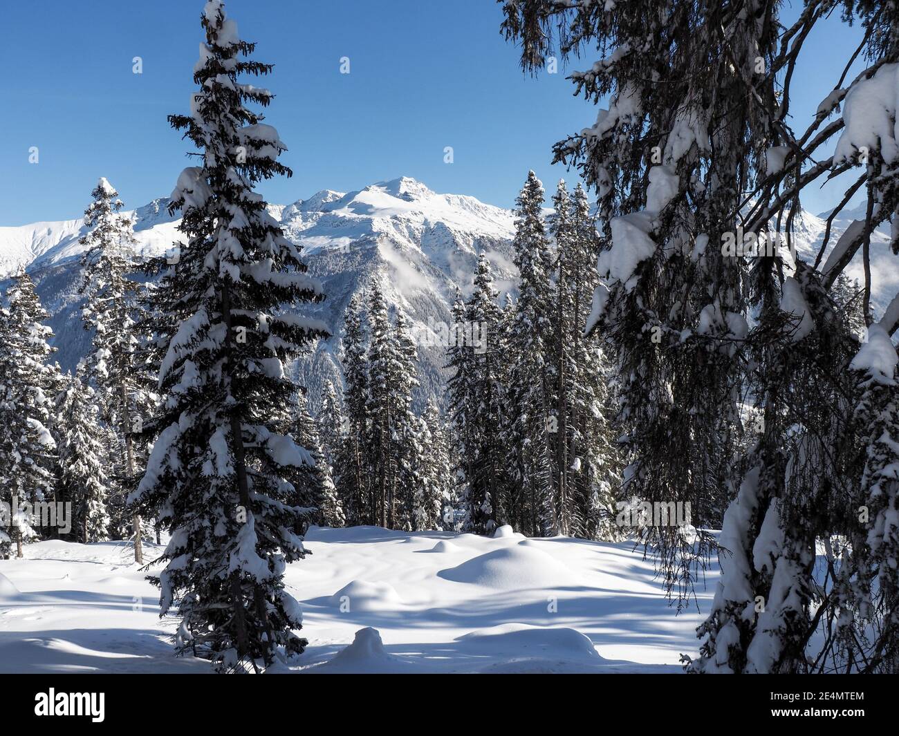 Schamserberg, Schweiz: Winterlandschaft des Naturparks Schamserberg und Piz Beverin. Stockfoto