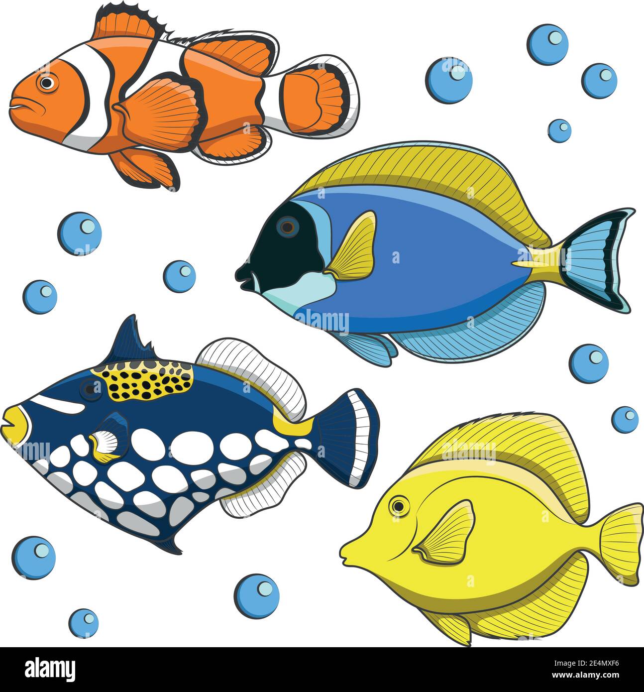 Set von Vektor tropischen Fischen. Isolierte Objekte auf Weiß. Stock Vektor