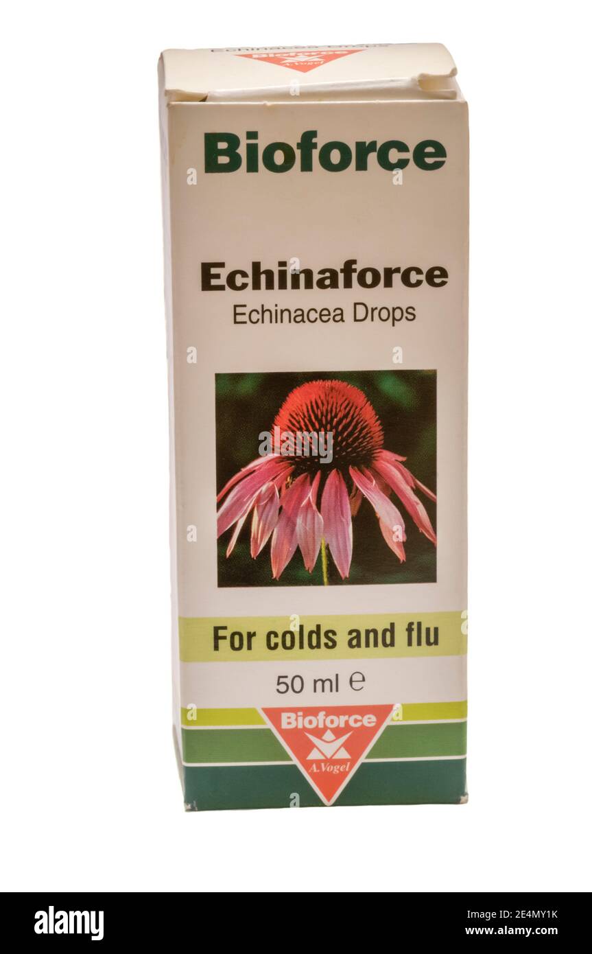 Ein Päckchen Echinacea Drops, das von A. Vogel als Heilmittel gegen Erkältungen und Grippe verkauft wird. Stockfoto