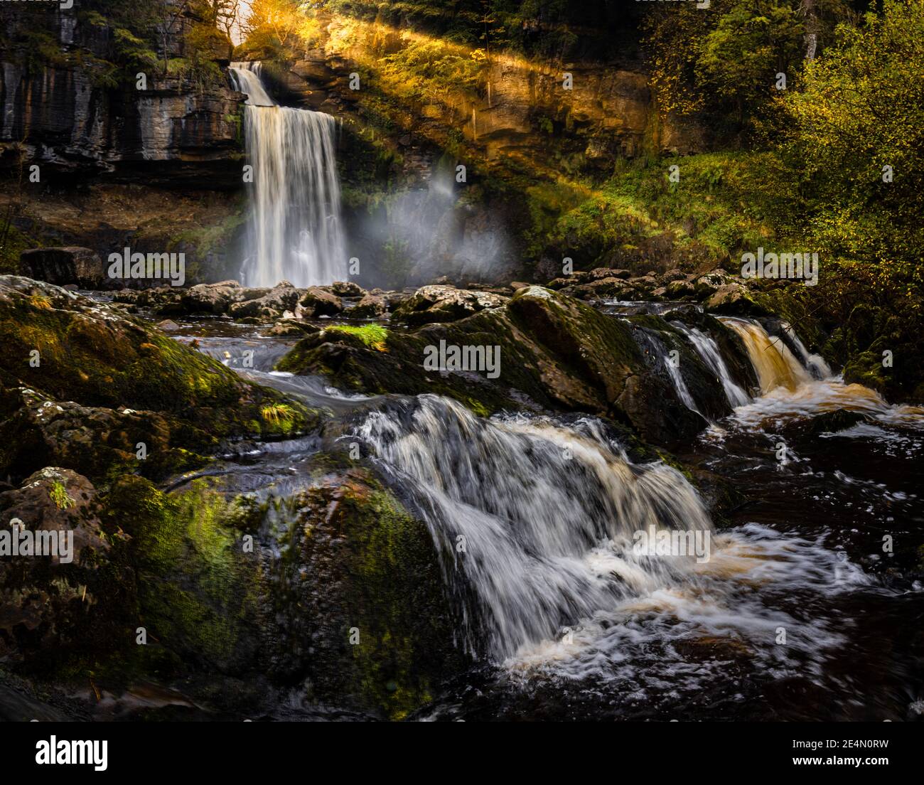 thornton Force Stockfoto