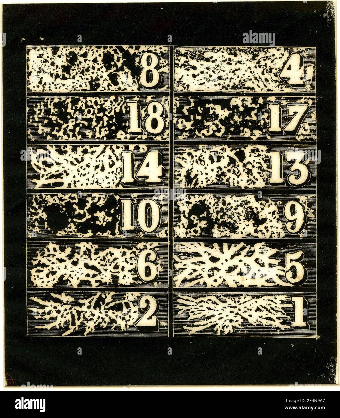 Meryon - Projet de Billets d'Actions d'une pseudo-compagnie franco-Californienne, 1876,0510.331. Stockfoto