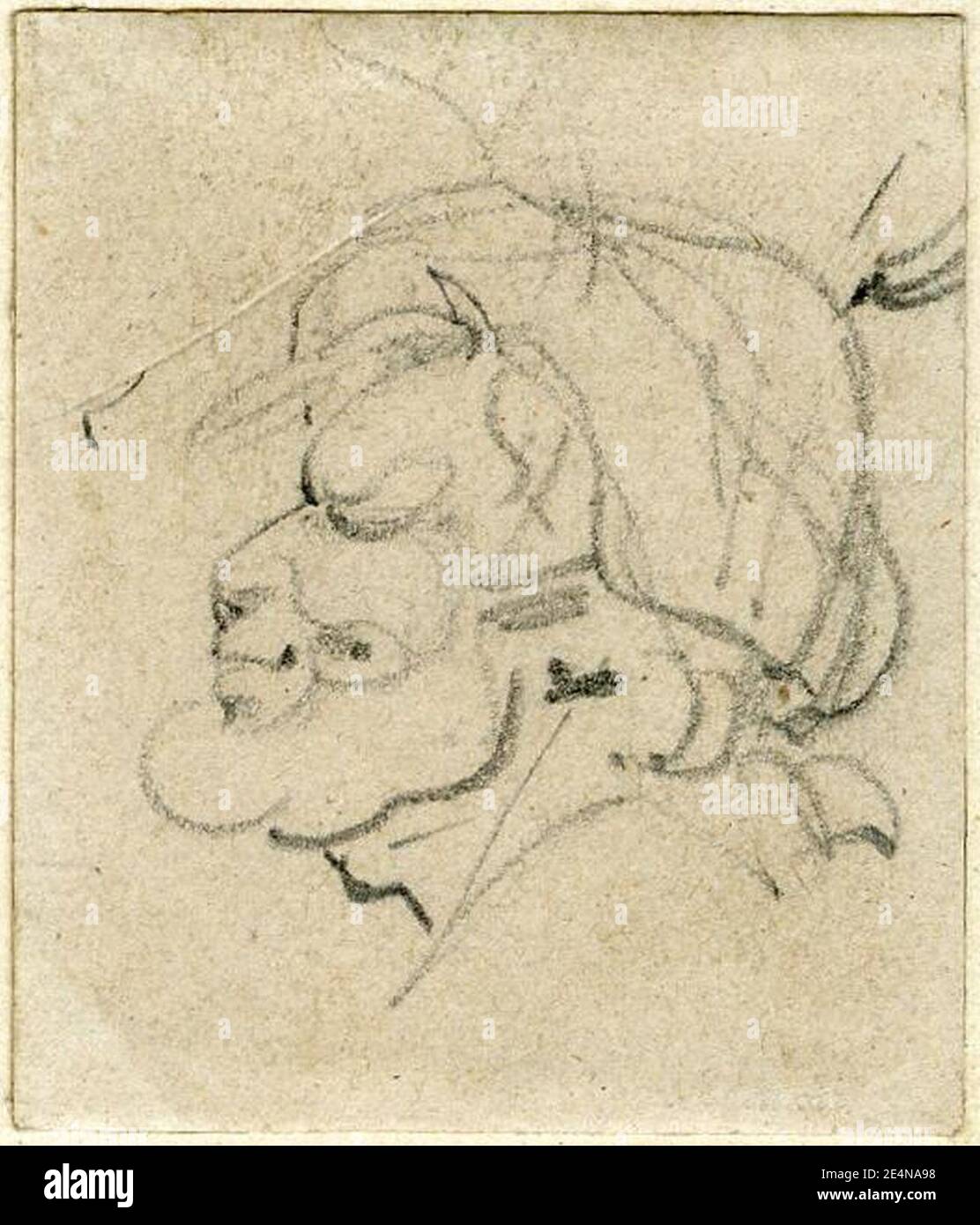 Meryon - eine von fünf Skizzen von Köpfen der Maori; Kopf im Profil nach links, mit Gesichtsmarkierungen, 1890,1013.22. Stockfoto