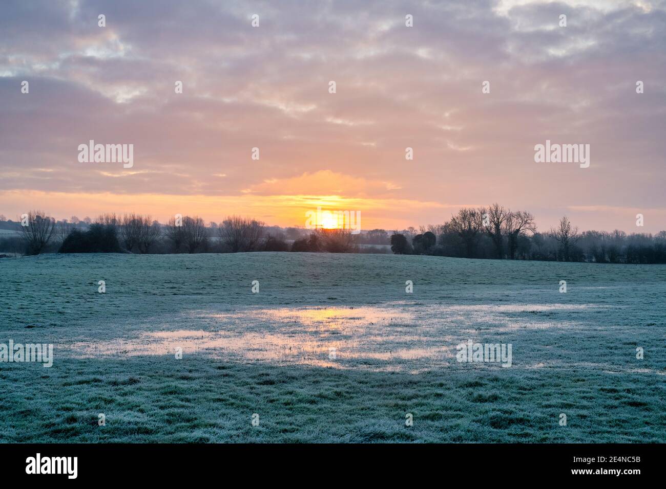 Frostiger, wassergeloggter Platz bei Sonnenaufgang im januar. Oxfordshire, England Stockfoto