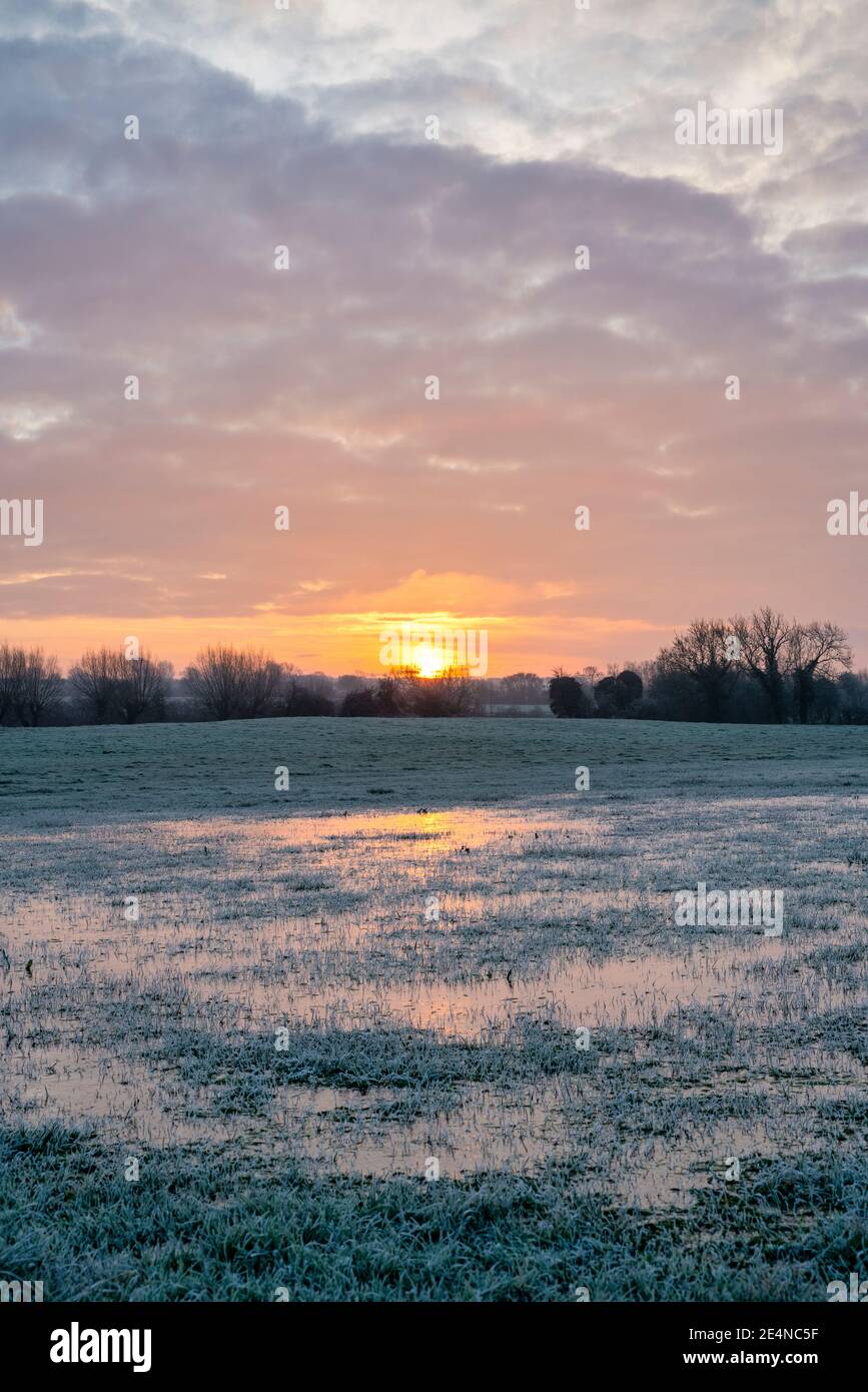Frostiger, wassergeloggter Platz bei Sonnenaufgang im januar. Oxfordshire, England Stockfoto