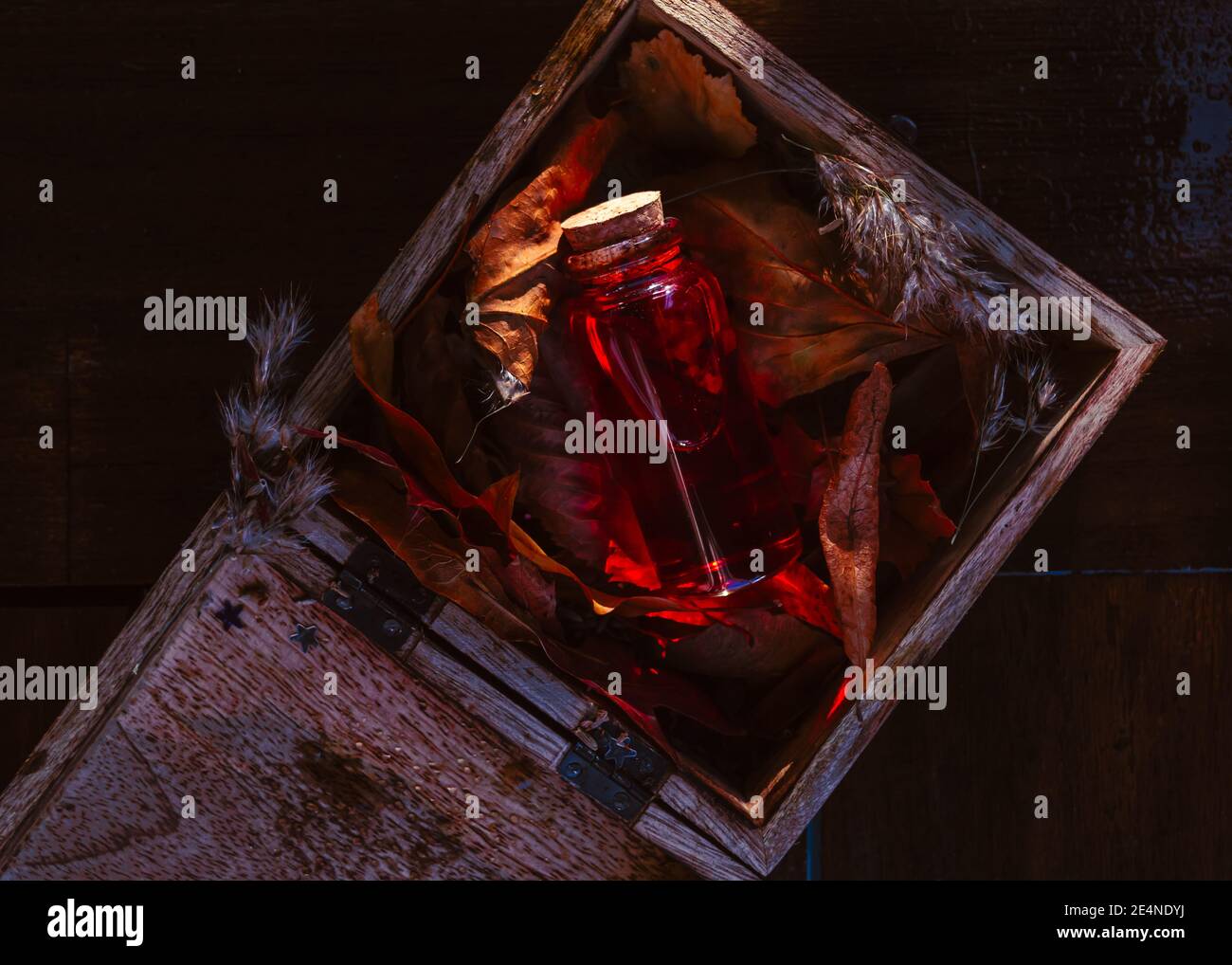 Bild einer Glasstopfflasche mit roter Flüssigkeit auf getrockneten Blättern in einer Holzkiste. Stockfoto