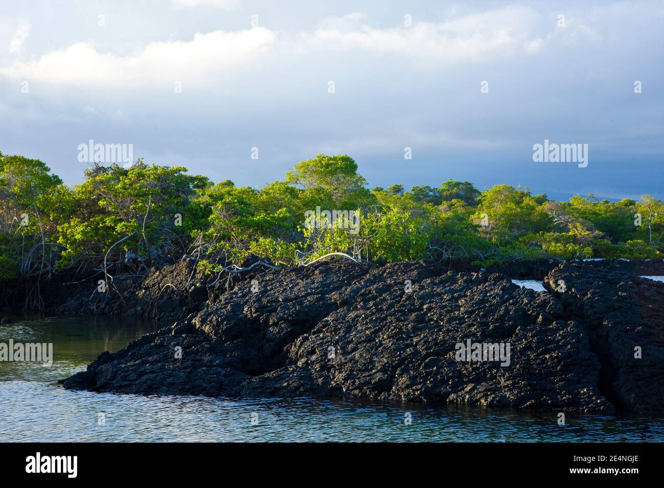 Parque Nacional Islas Galapagos, Ecuador, Amerika Stockfoto