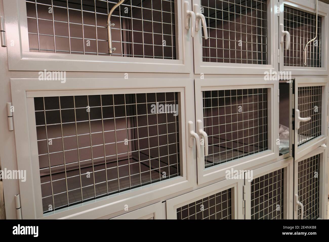 Bild der Reihe von Käfigen für Tiere in Tierarztklinik Stockfoto