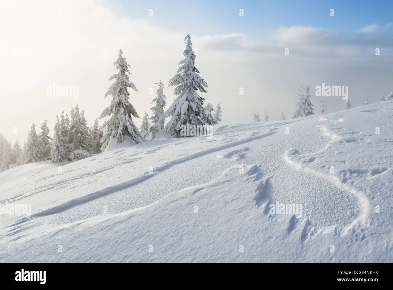 Winterlandschaft mit verschneiten Tannen und Schneeverwehungen danach Ein Schneesturm in den Bergen Stockfoto