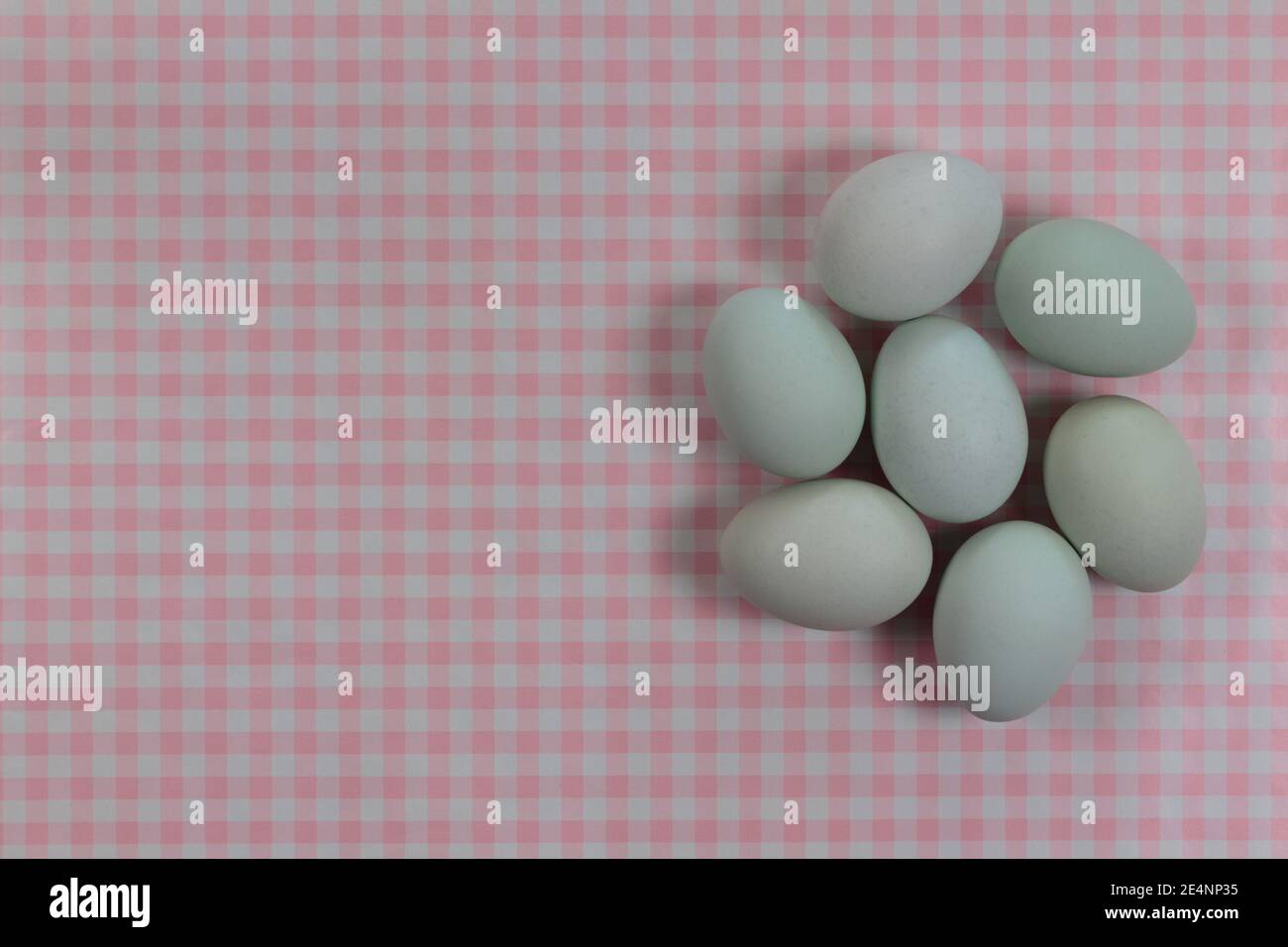 Gruppierung von blauen Erbstück Eier auf einem rosa und weißen Gingham-Check-Hintergrund mit Copy Space, Ostern Thema, Kochen, Küche Thema, Baby-Mädchen Ansager Stockfoto