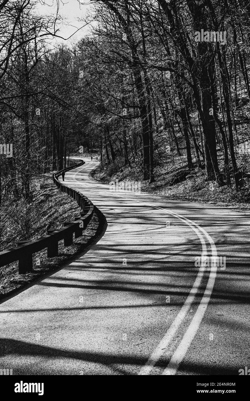 Der Blue Ridge Parkway umrundt die Hügel bei Asheville, NC, USA Stockfoto