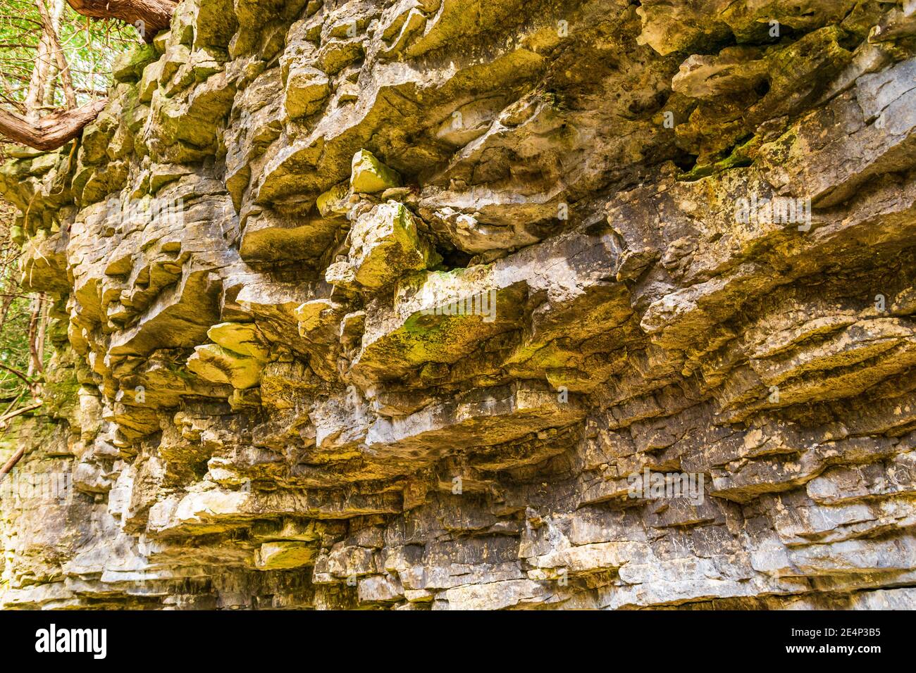 Hilton Falls Conservation Area Hamilton Ontario Kanada Stockfoto