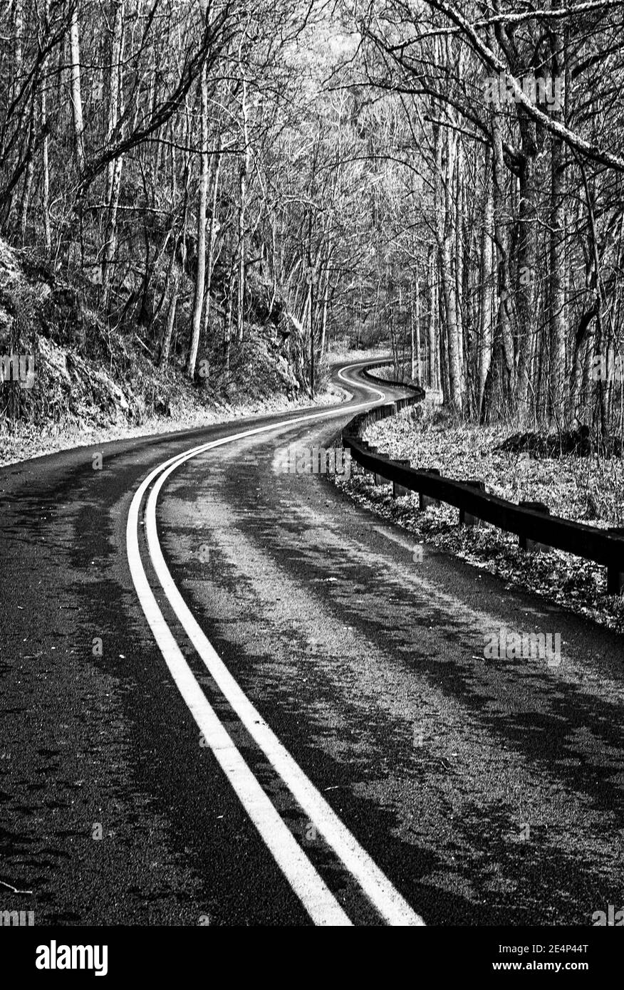Der Blue Ridge Parkway umrundt die Hügel bei Asheville, NC, USA Stockfoto