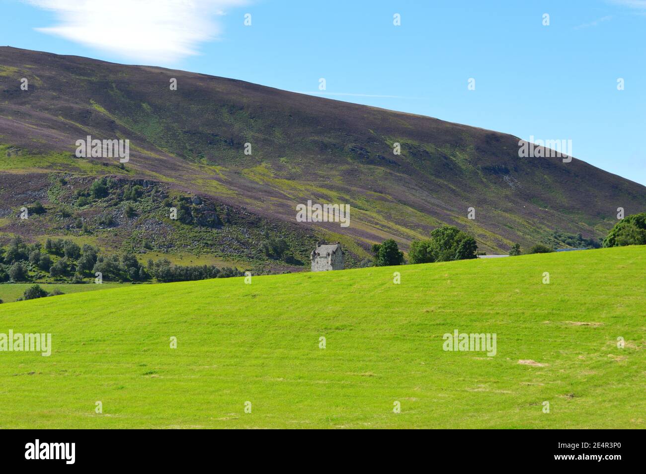 Schottischer Hügel, Glenisla, Angus, Schottland. Stockfoto