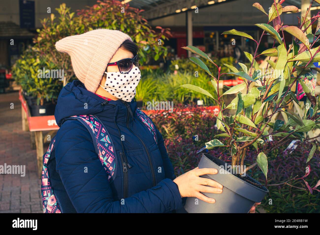 Frau in einer schützenden Gesichtsmaske, die die Wahl einer neuen grünen Pflanze in einem Outdoor-Garten Handelszentrum abdeckt. Vorbereitung auf die neue Pflanzsaison im Frühjahr Stockfoto
