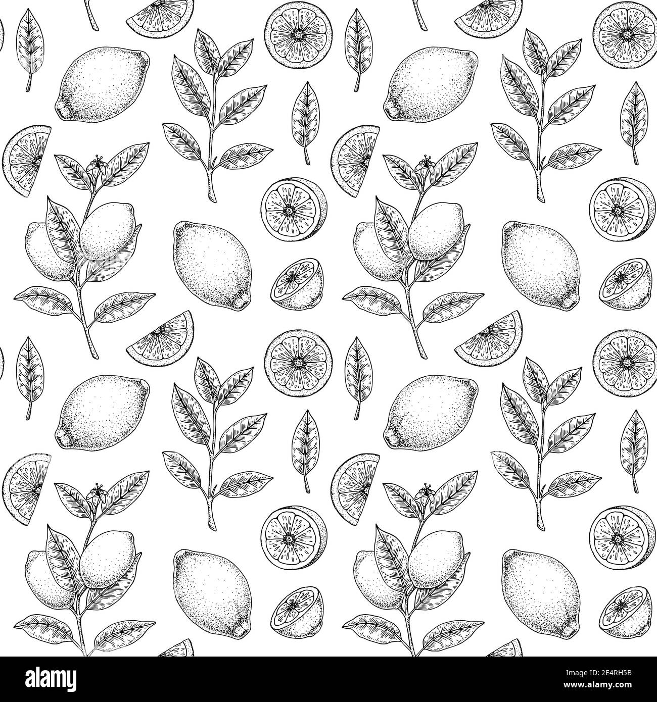Handgezeichnetes nahtloses Muster mit Zitronenfrüchten, Blättern und Zweigen mit Blumen. Vektorgrafik im Skizzenstil Stock Vektor