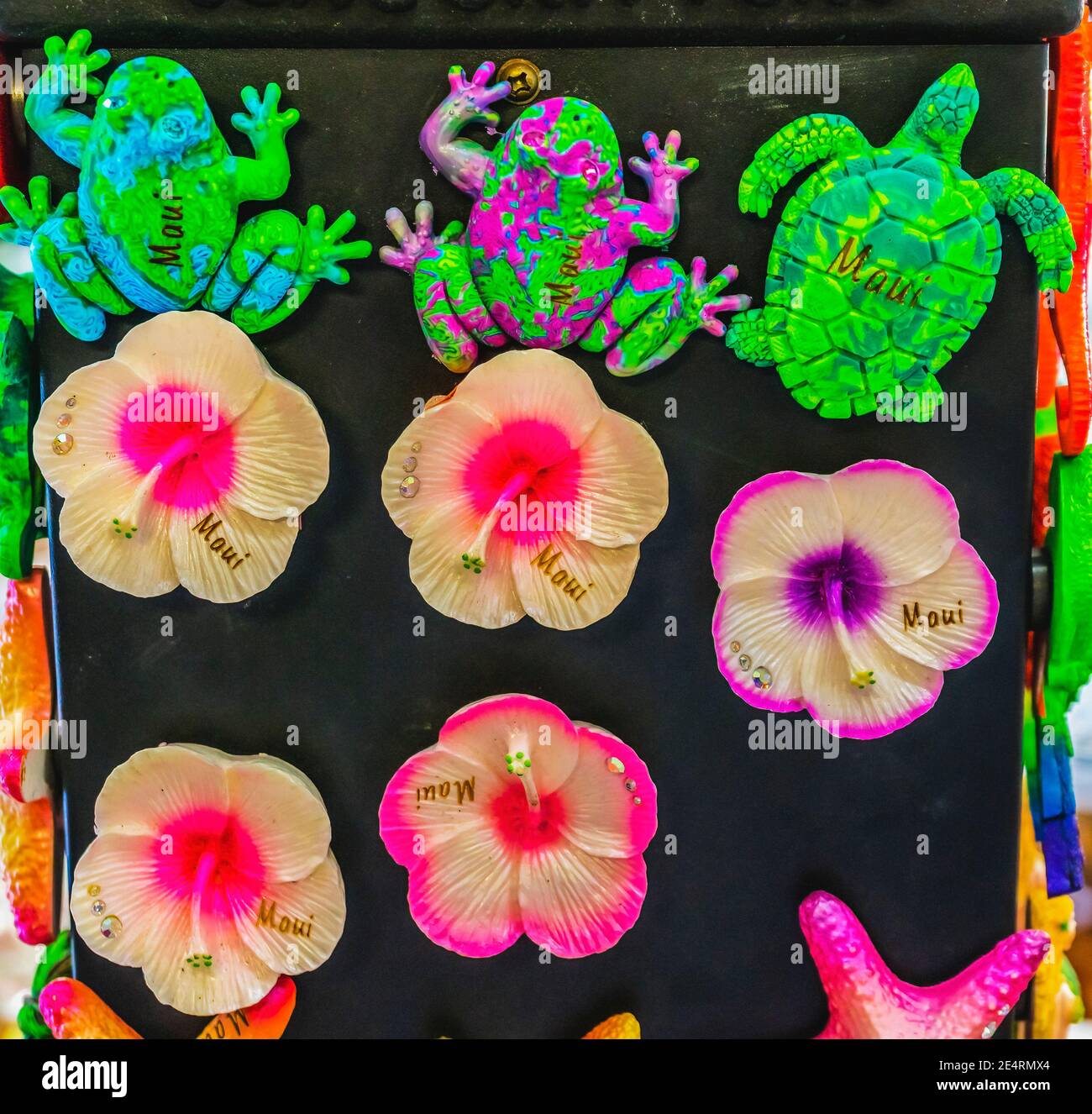 Bunte Hawaiianische Polynessische Magnete Schildkröten Blumen Kunsthandwerk Maui Hawaii Stockfoto