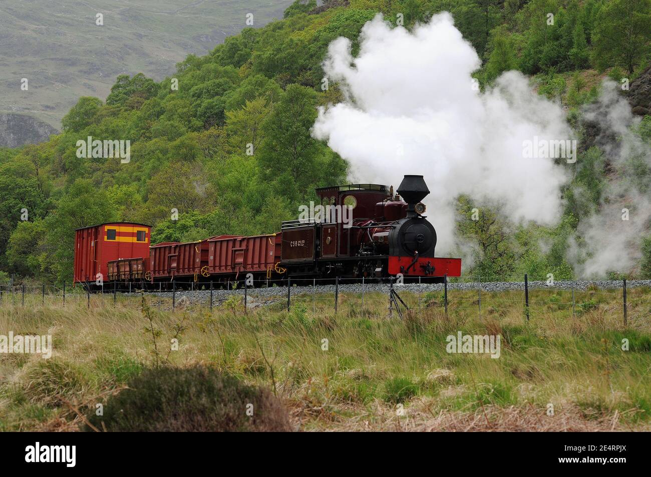 'Fiji' südlich von Bryn y Felin. Stockfoto