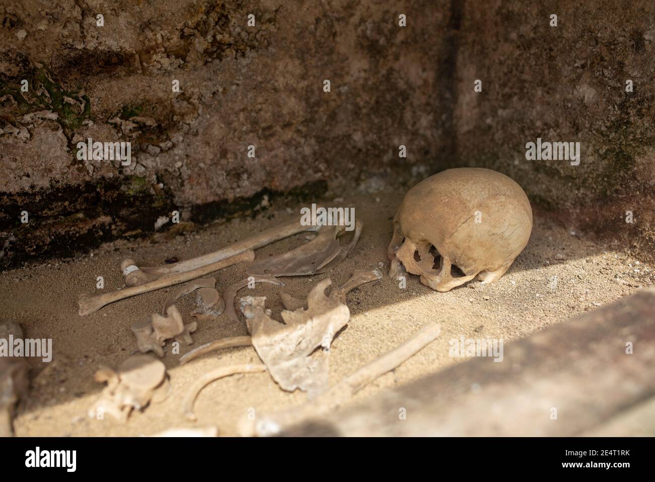 Skelett in einer Krypta im Convento Santo Domingo Museum in Antigua, Guatemala, Mittelamerika Stockfoto