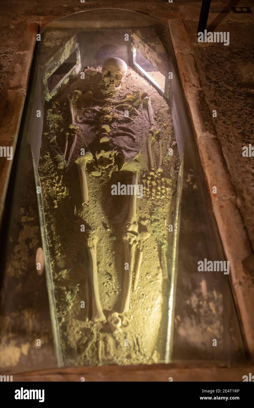 Skelett in einer Krypta im Convento Santo Domingo Museum in Antigua, Guatemala, Mittelamerika Stockfoto