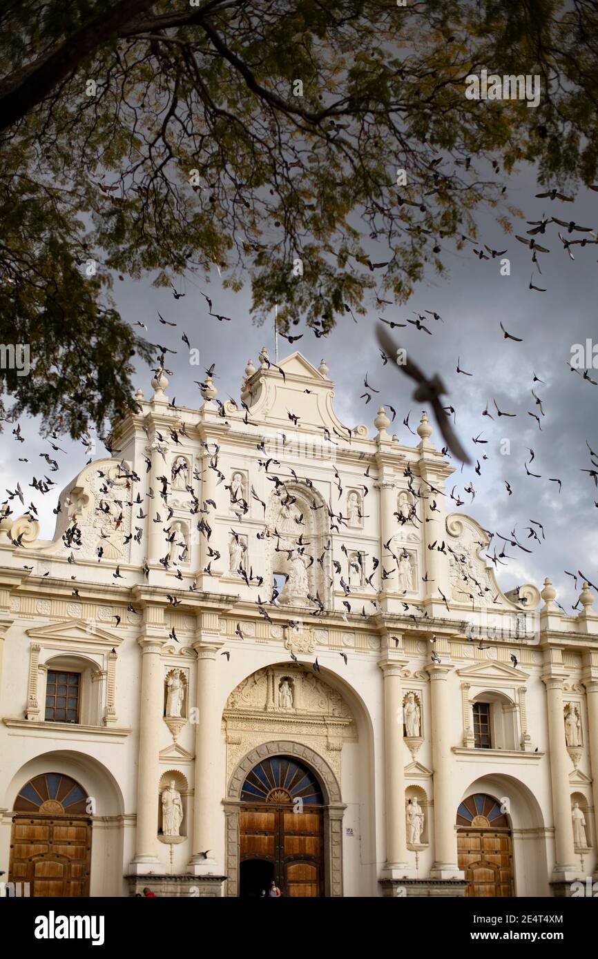 Tauben fliegen vor der Kathedrale in Antigua, Guatemala, Mittelamerika Stockfoto